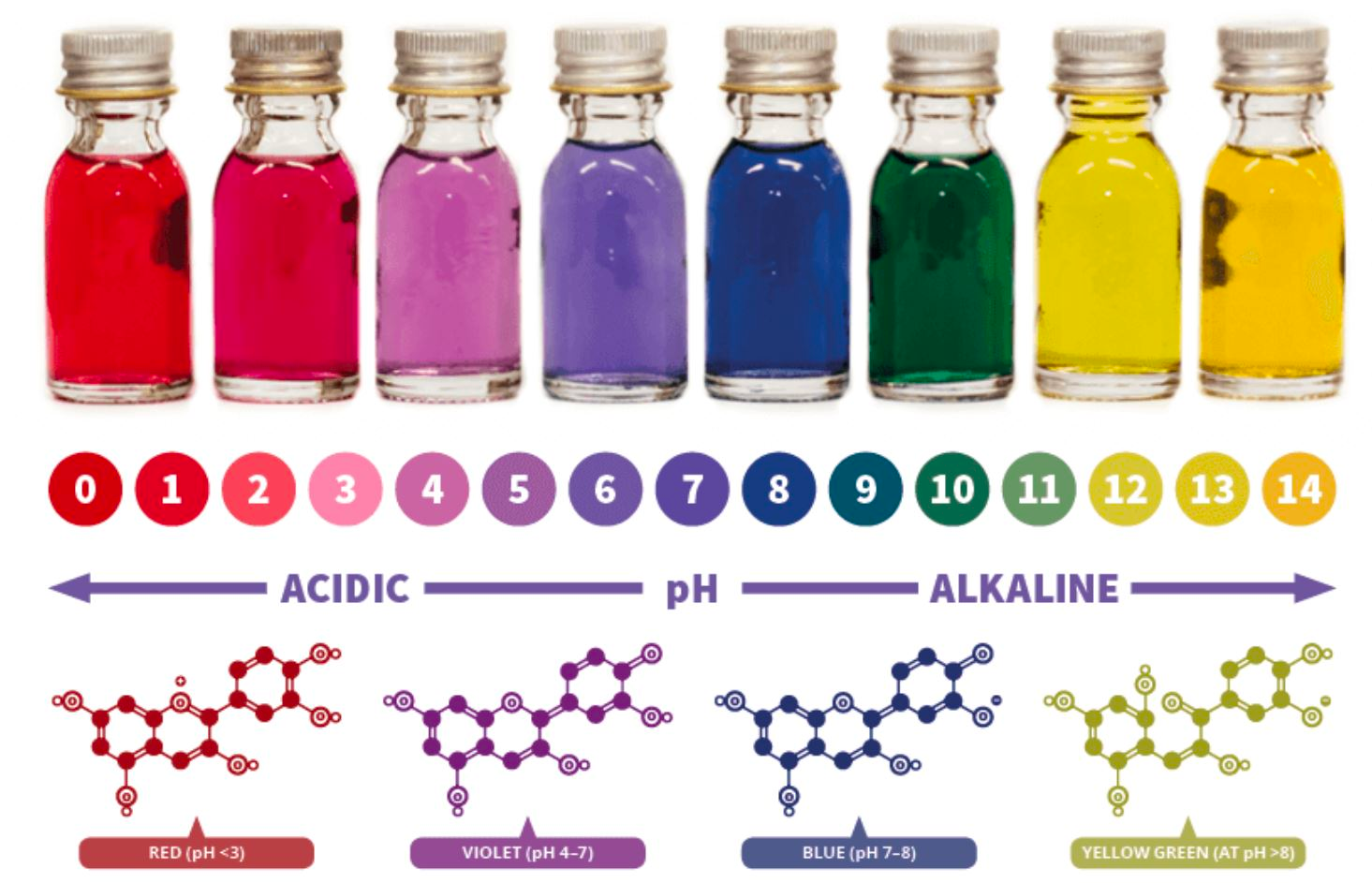 Colores de la antocianina. Adaptado de compoundchem.com