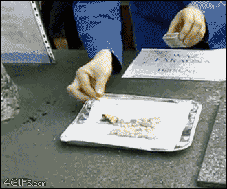gif animado de la reacción de la serpiente del faraón